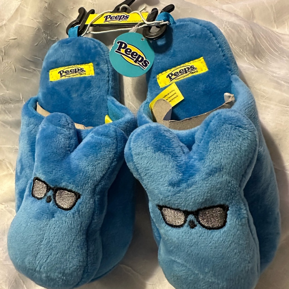 Blue Plush Cartoon Slippers for Cozy Comfort